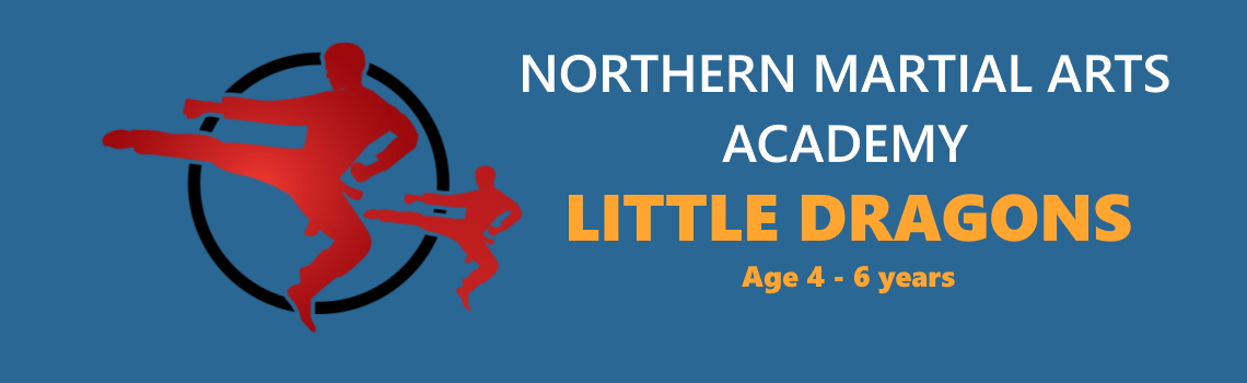 Little Dragons, Children Martial Arts classes
